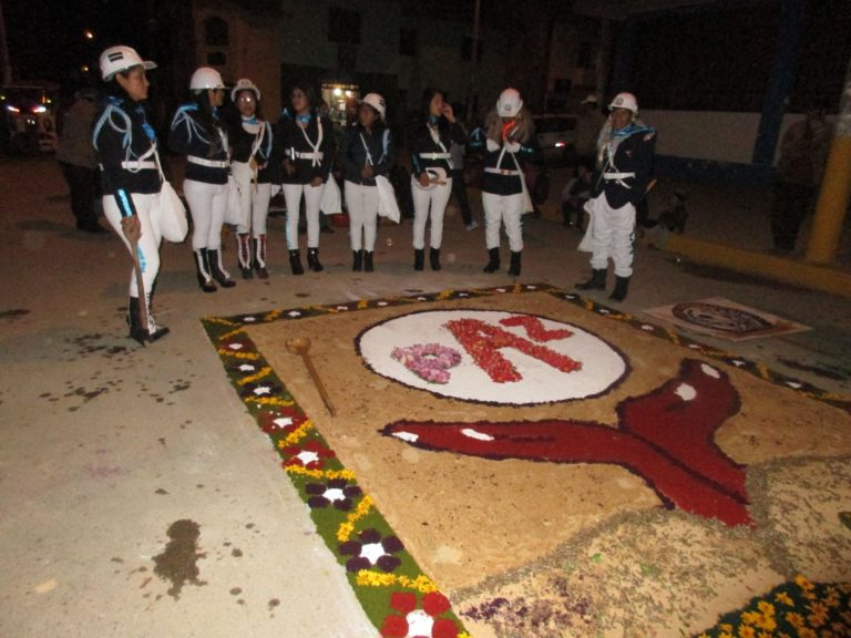 Alfombra del grupo "Los Shonshos"